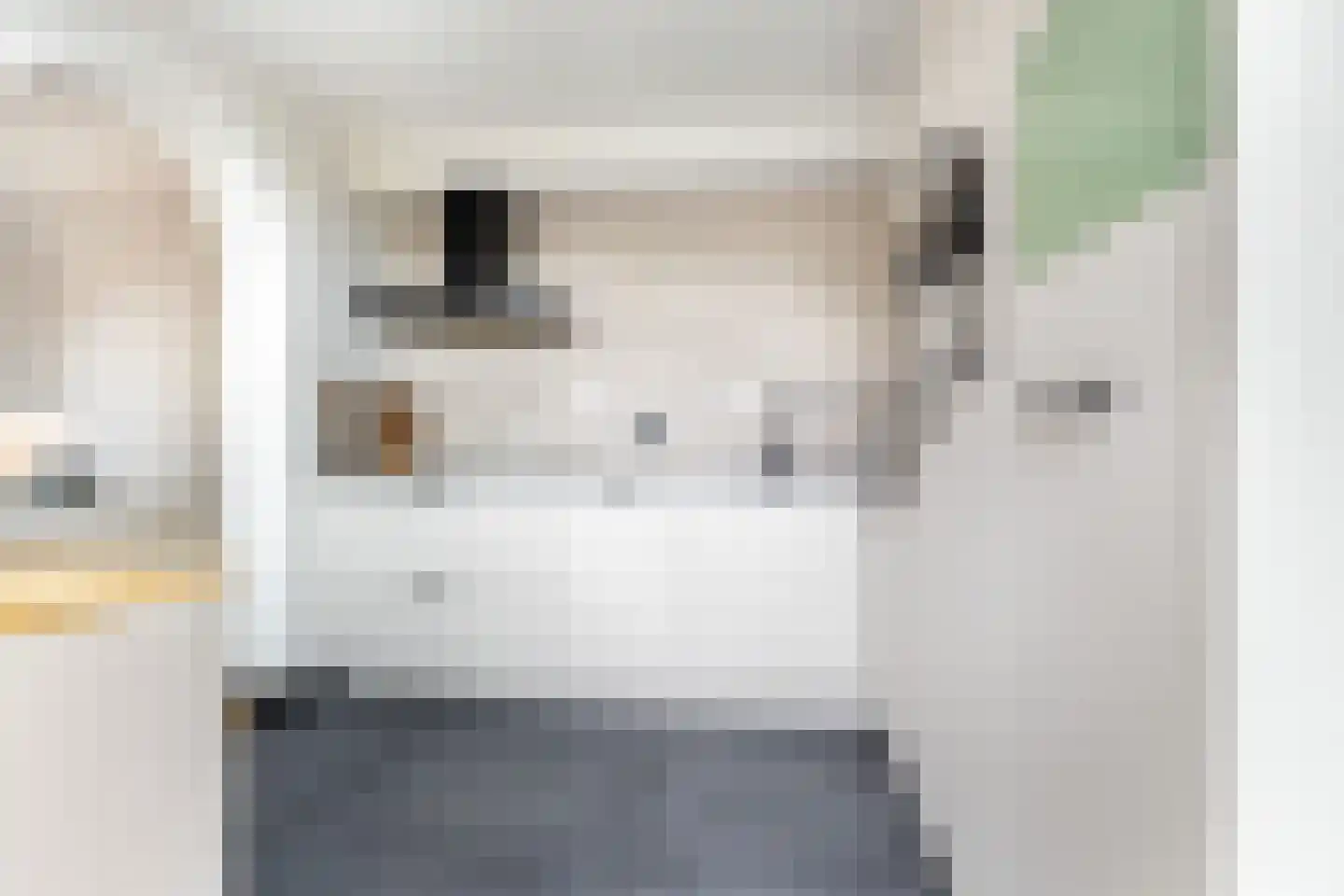 Wilhelminastraat 8 Lekkerkerk thumbnail 12