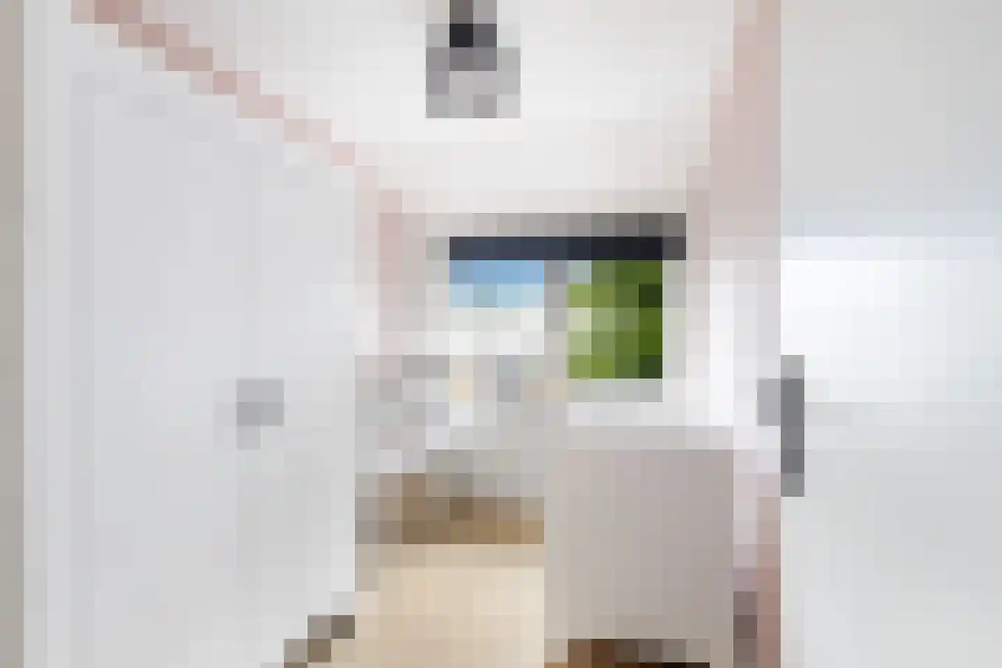 Wilhelminastraat 8 Lekkerkerk thumbnail 26