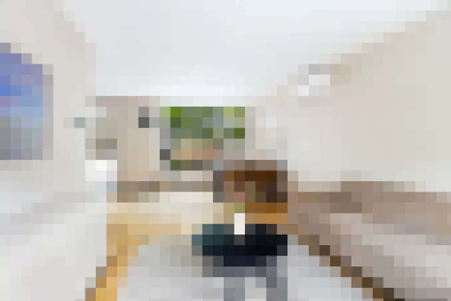 Wilhelminastraat 8 Lekkerkerk thumbnail 7