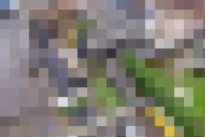 Wilhelminastraat 8 Made thumbnail 100