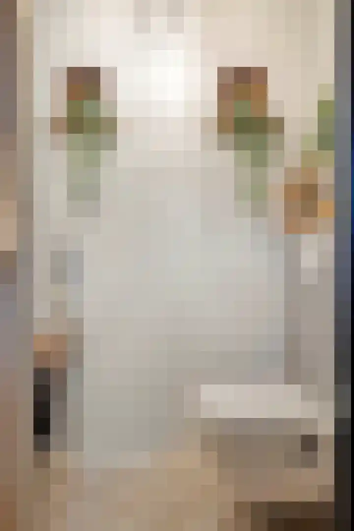 Wilhelminastraat 8 Made thumbnail 13