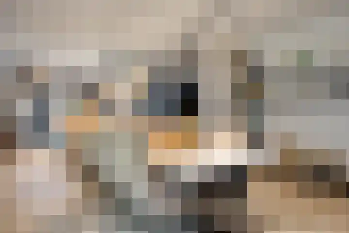 Wilhelminastraat 8 Made thumbnail 21