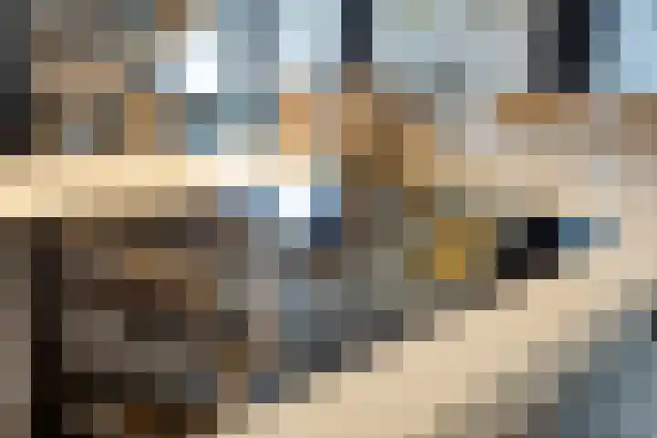 Wilhelminastraat 8 Made thumbnail 24