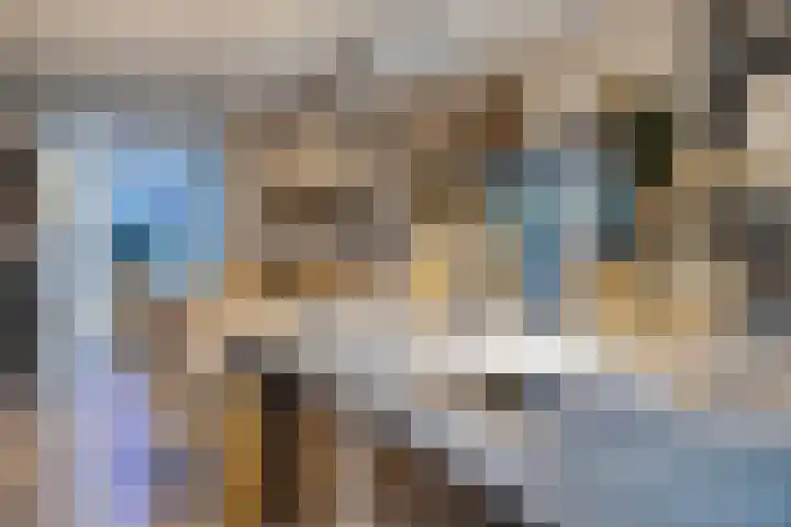 Wilhelminastraat 8 Made thumbnail 25