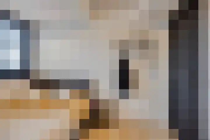 Wilhelminastraat 8 Made thumbnail 48