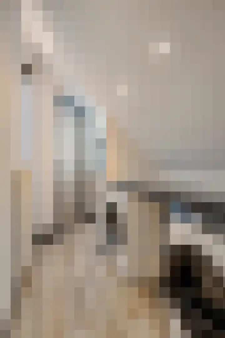 Wilhelminastraat 8 Made thumbnail 65