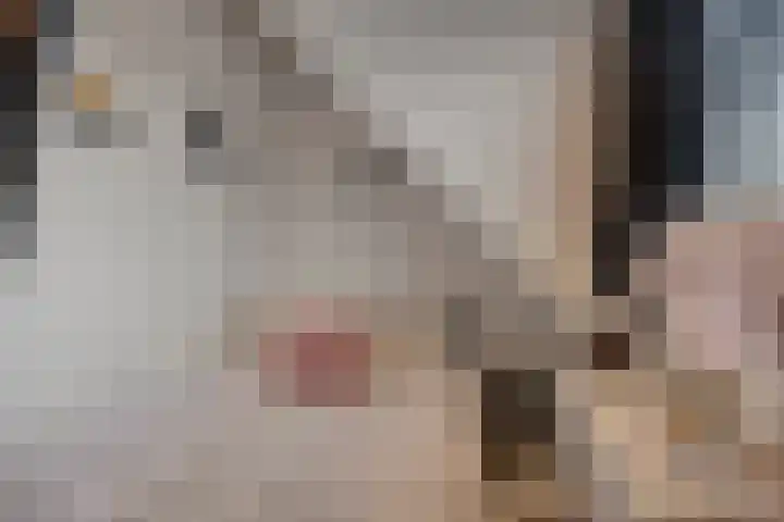 Wilhelminastraat 8 Made thumbnail 69