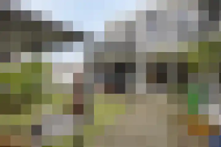 Wilhelminastraat 8 Made thumbnail 76