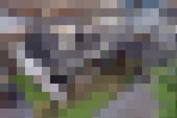 Wilhelminastraat 8 Made thumbnail 97