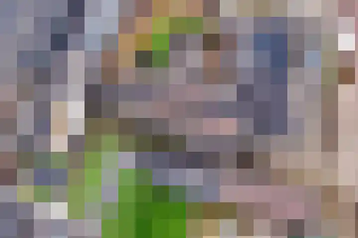 Wilhelminastraat 8 Made thumbnail 99