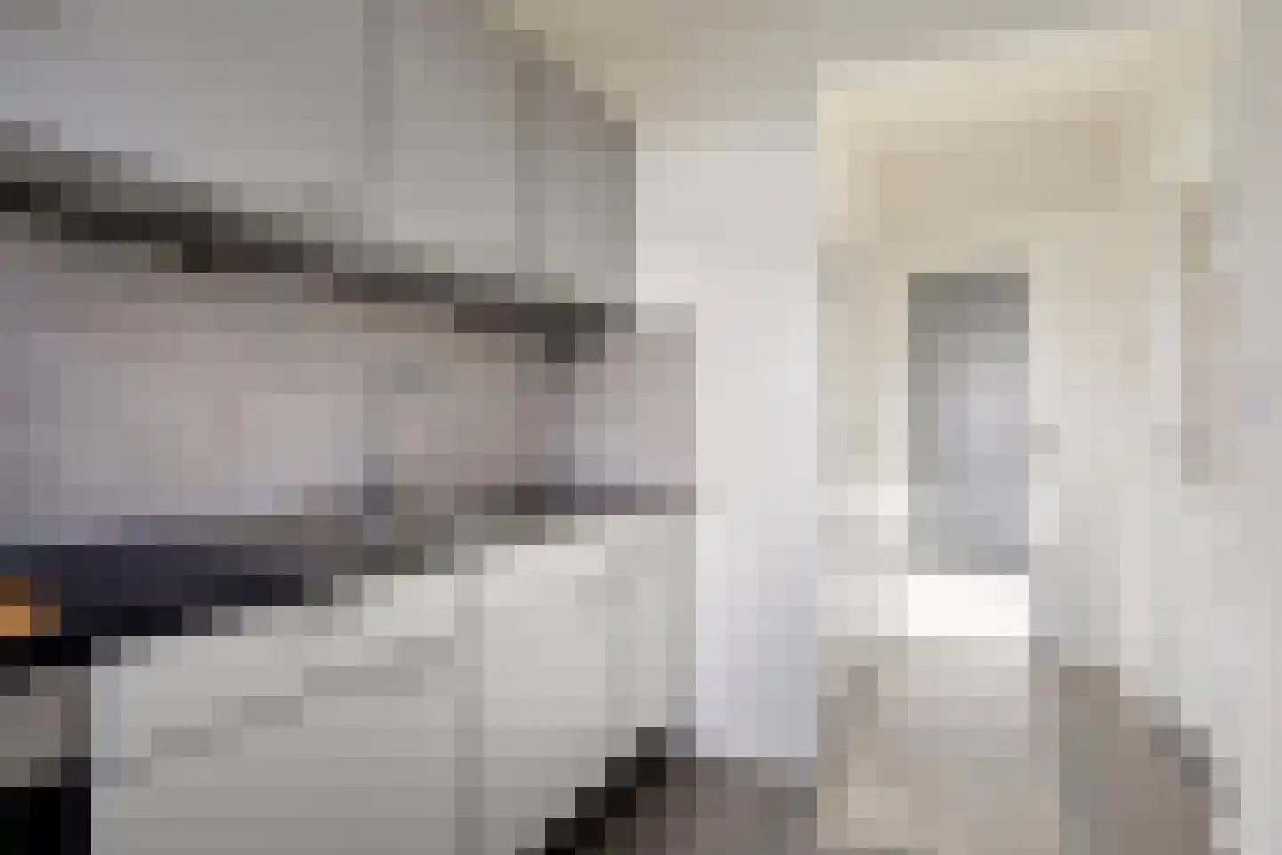 Wilhelminastraat 8 Oude-Tonge thumbnail 13