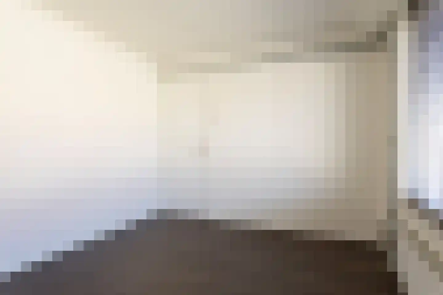 Wilhelminastraat 8 Oude-Tonge thumbnail 17