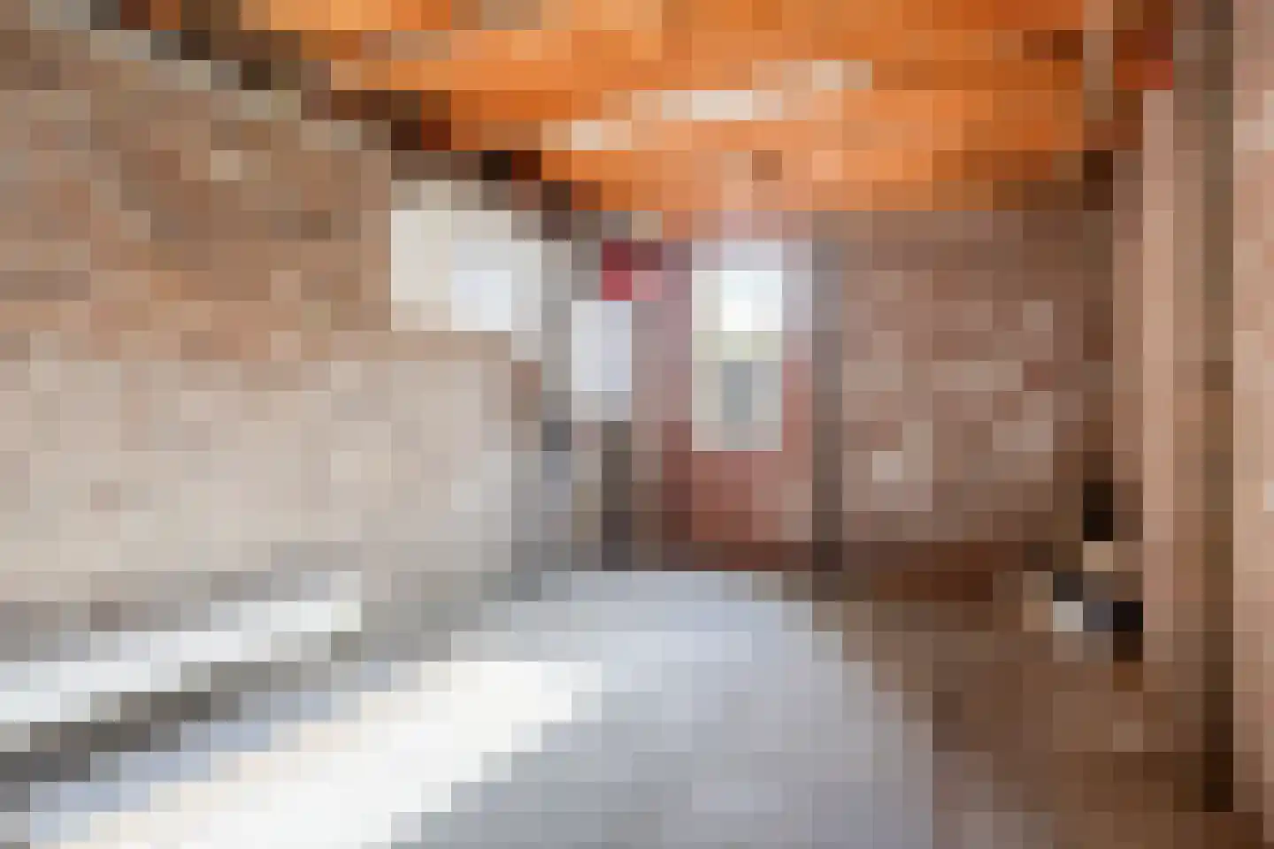 Wilhelminastraat 8 Oude-Tonge thumbnail 23