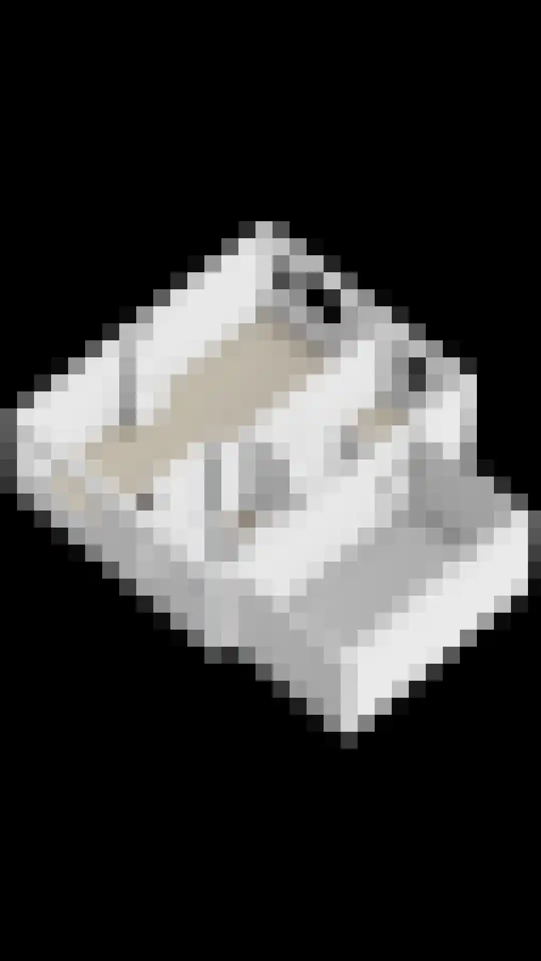Wilhelminastraat 8 Oude-Tonge thumbnail 35