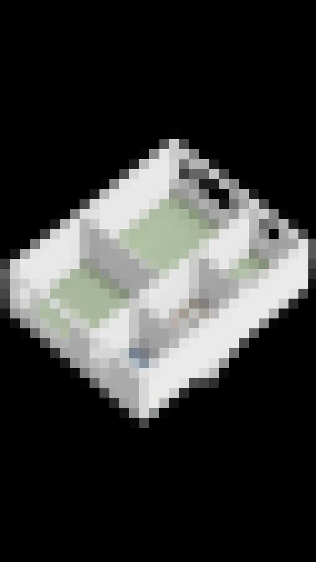Wilhelminastraat 8 Oude-Tonge thumbnail 36
