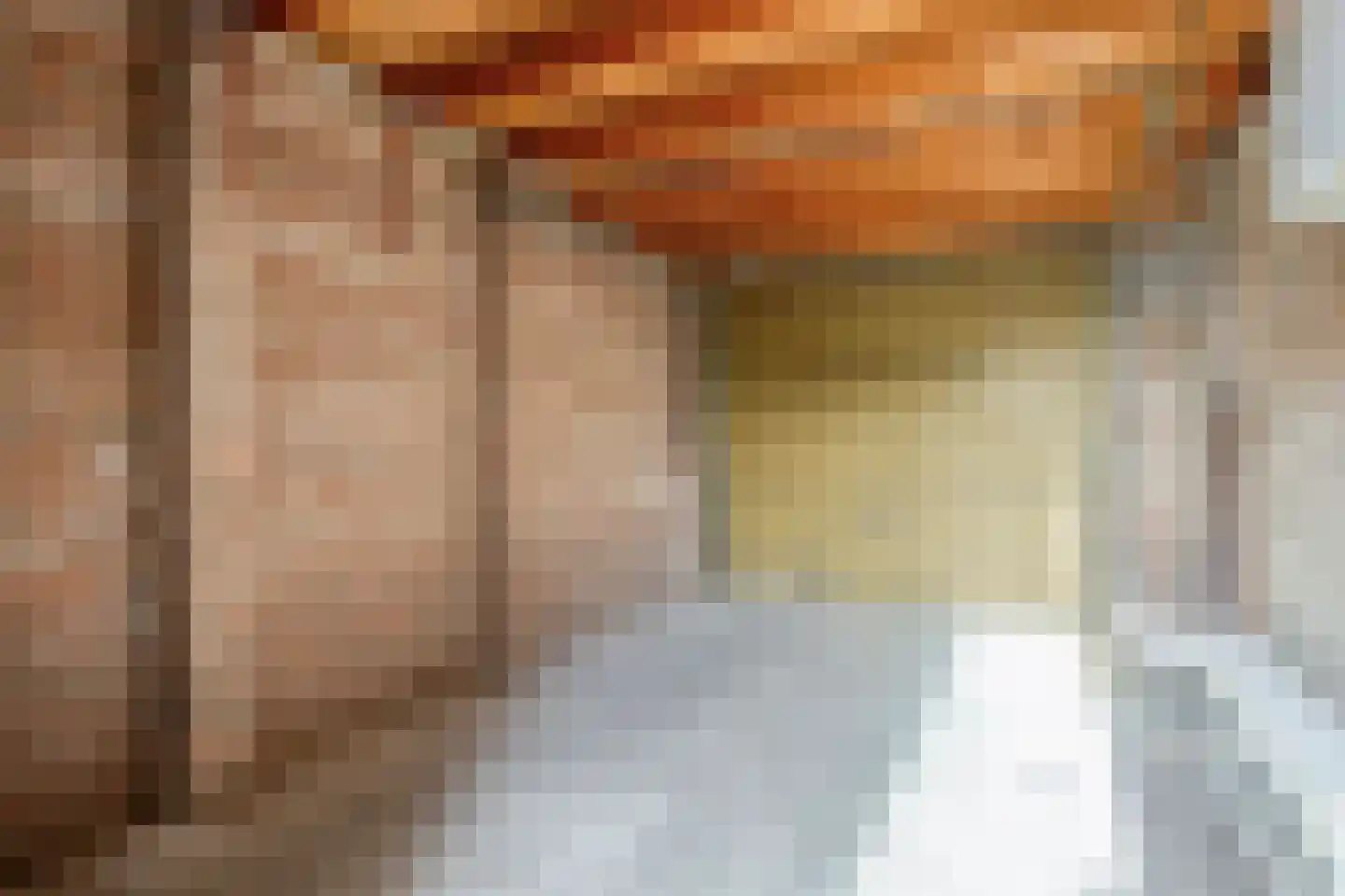 Wilhelminastraat 8 Oude-Tonge thumbnail 5