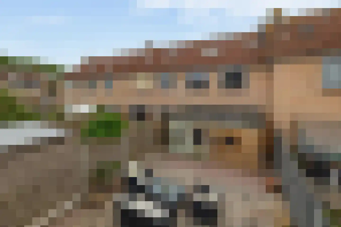 Wilhelminastraat 8 Sint-Maartensdijk thumbnail 22