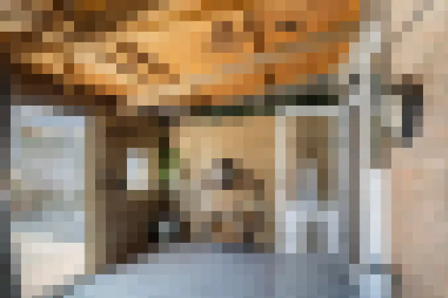 Wilhelminastraat 8 Sint-Maartensdijk thumbnail 31
