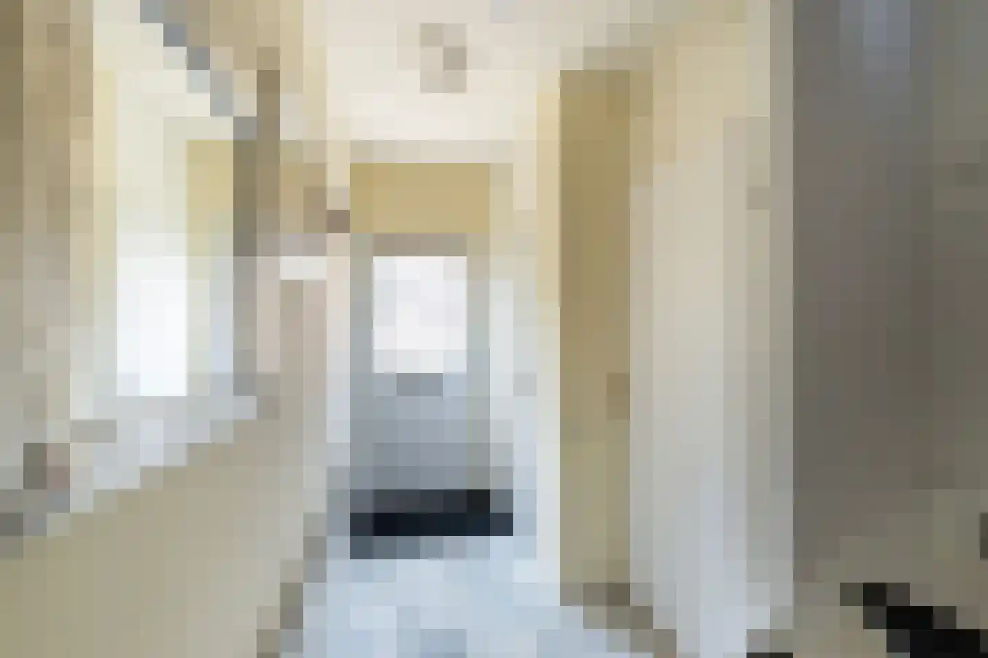 Wilhelminastraat 8 Sint-Maartensdijk thumbnail 8