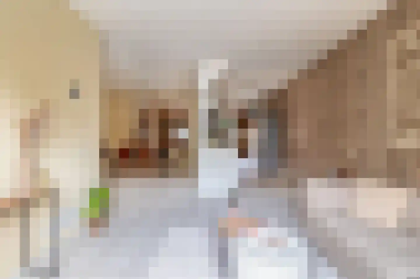 Wilhelminastraat 8 Sint-Maartensdijk thumbnail 8