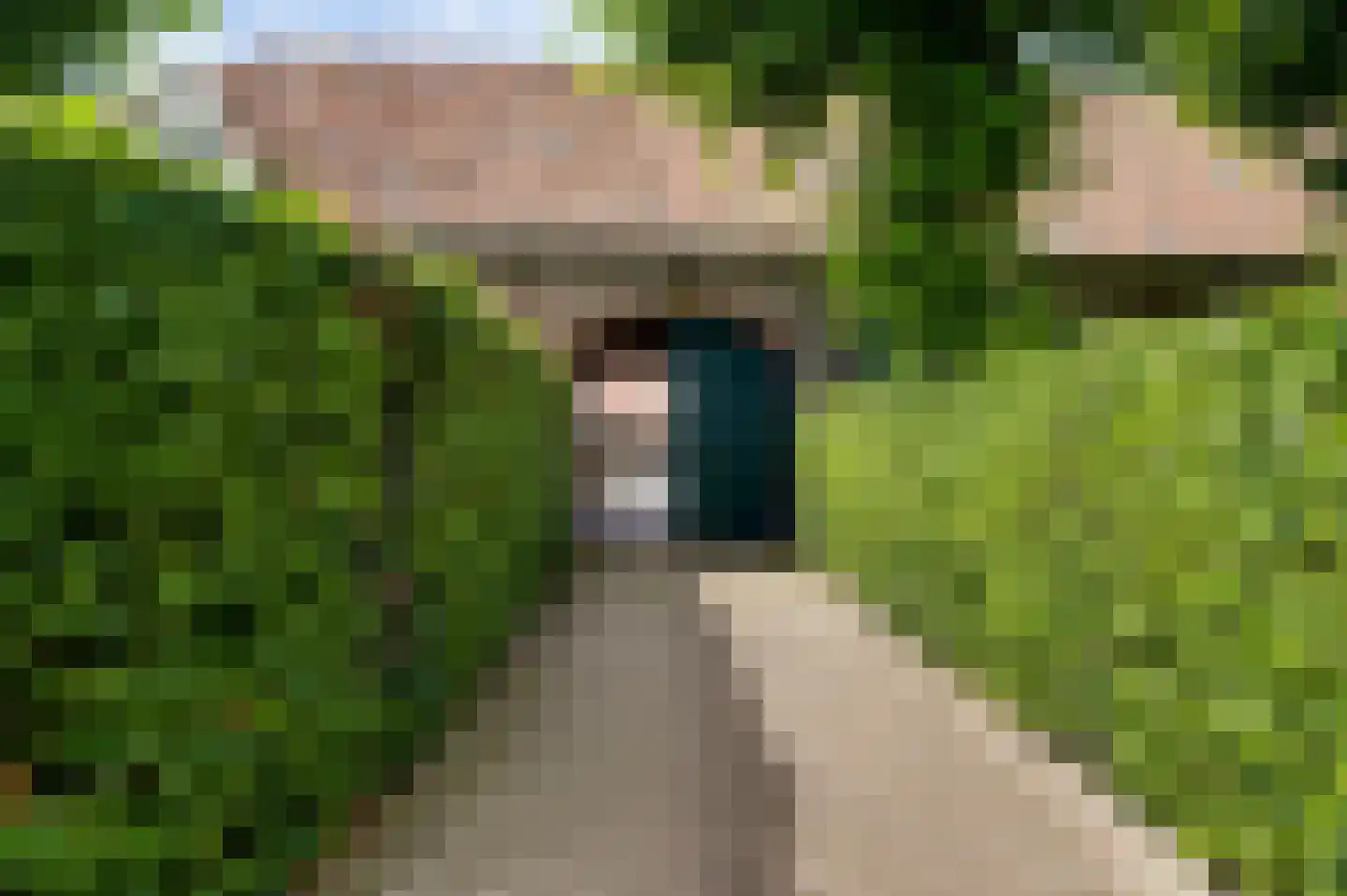 Wilhelminastraat 8 Stramproy thumbnail 11