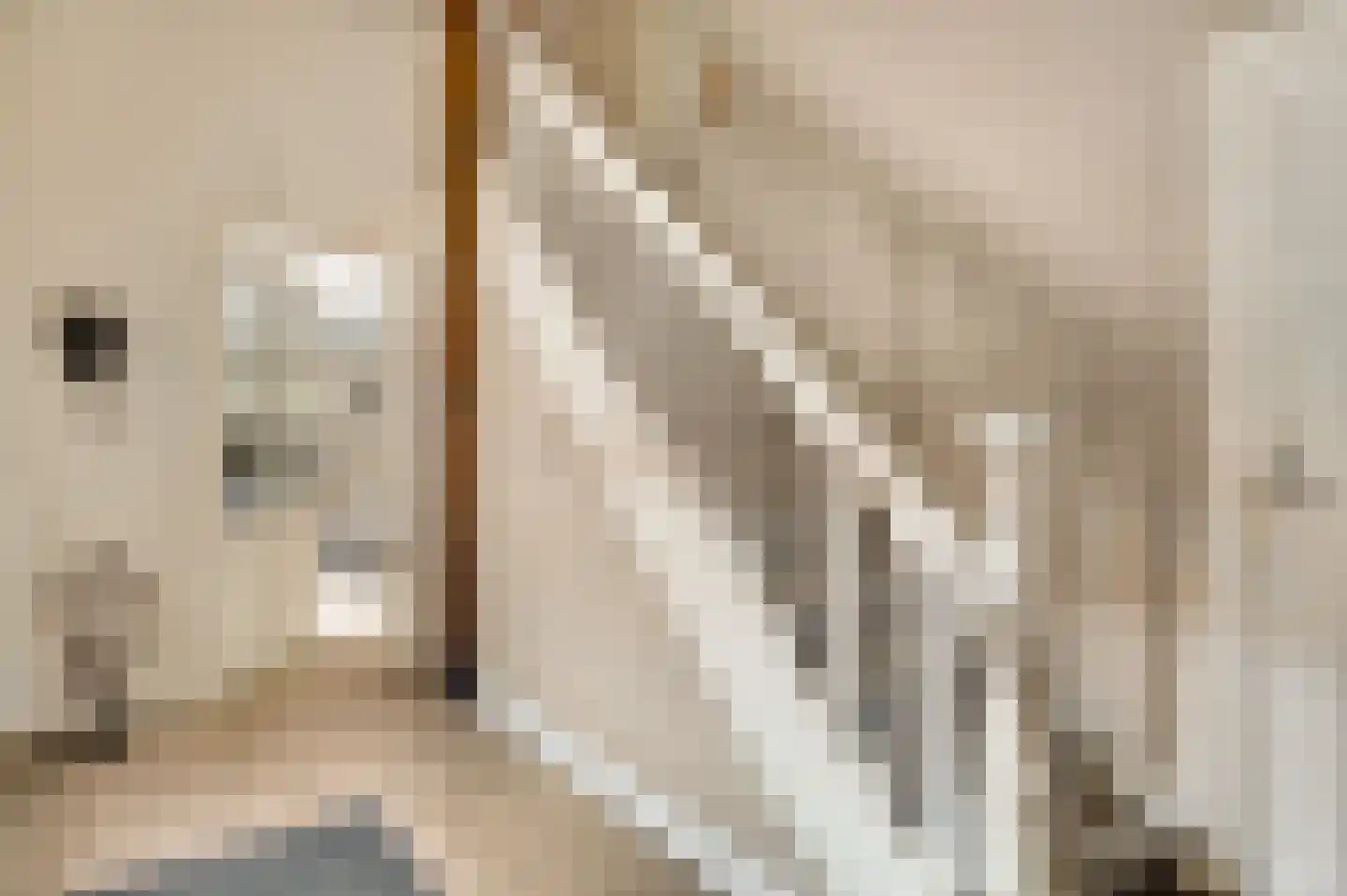 Wilhelminastraat 8 Stramproy thumbnail 14