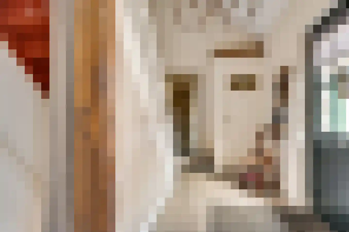Wilhelminastraat 8 Stramproy thumbnail 15
