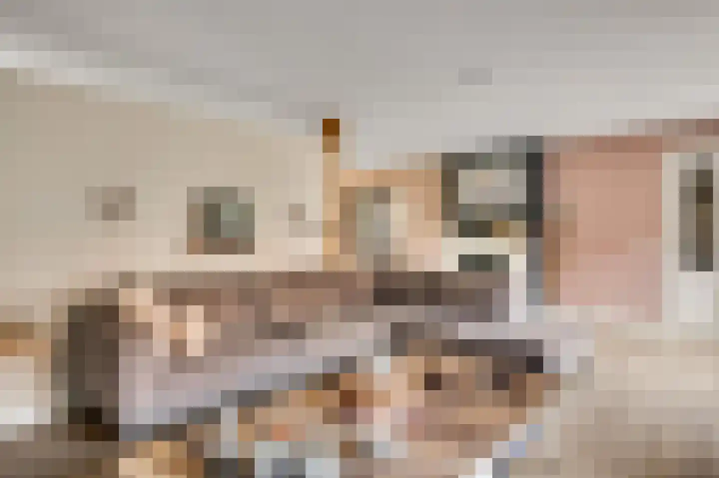 Wilhelminastraat 8 Stramproy thumbnail 18