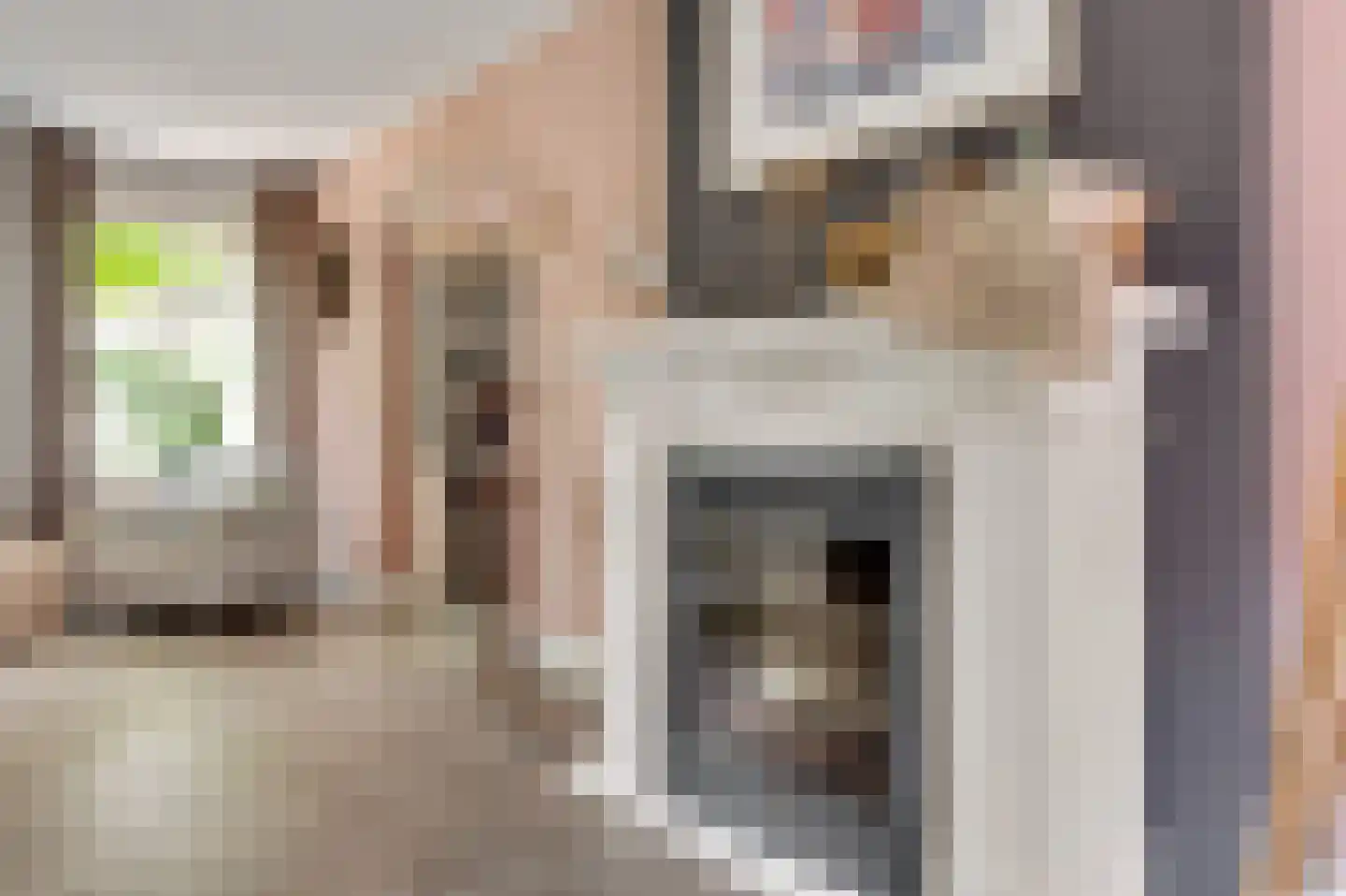 Wilhelminastraat 8 Stramproy thumbnail 19