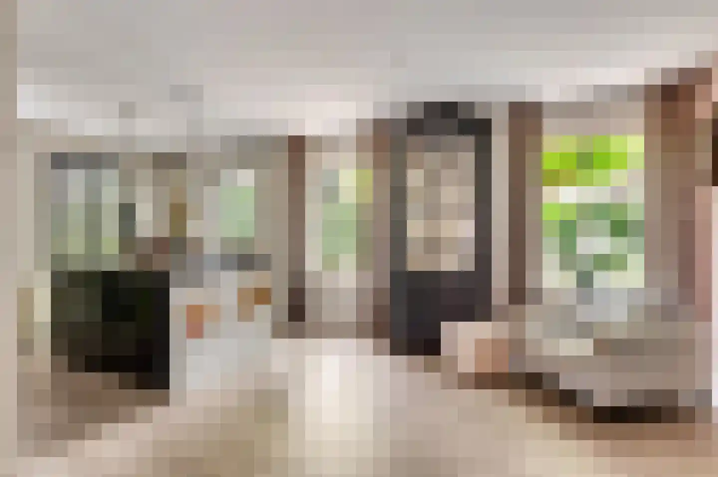 Wilhelminastraat 8 Stramproy thumbnail 20