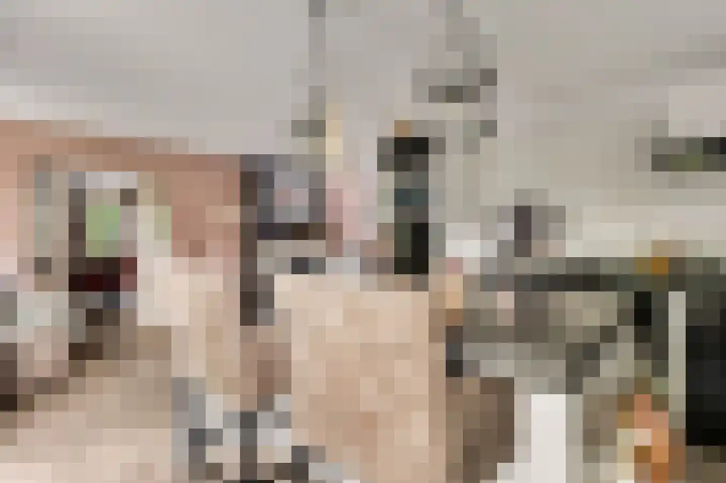 Wilhelminastraat 8 Stramproy thumbnail 23