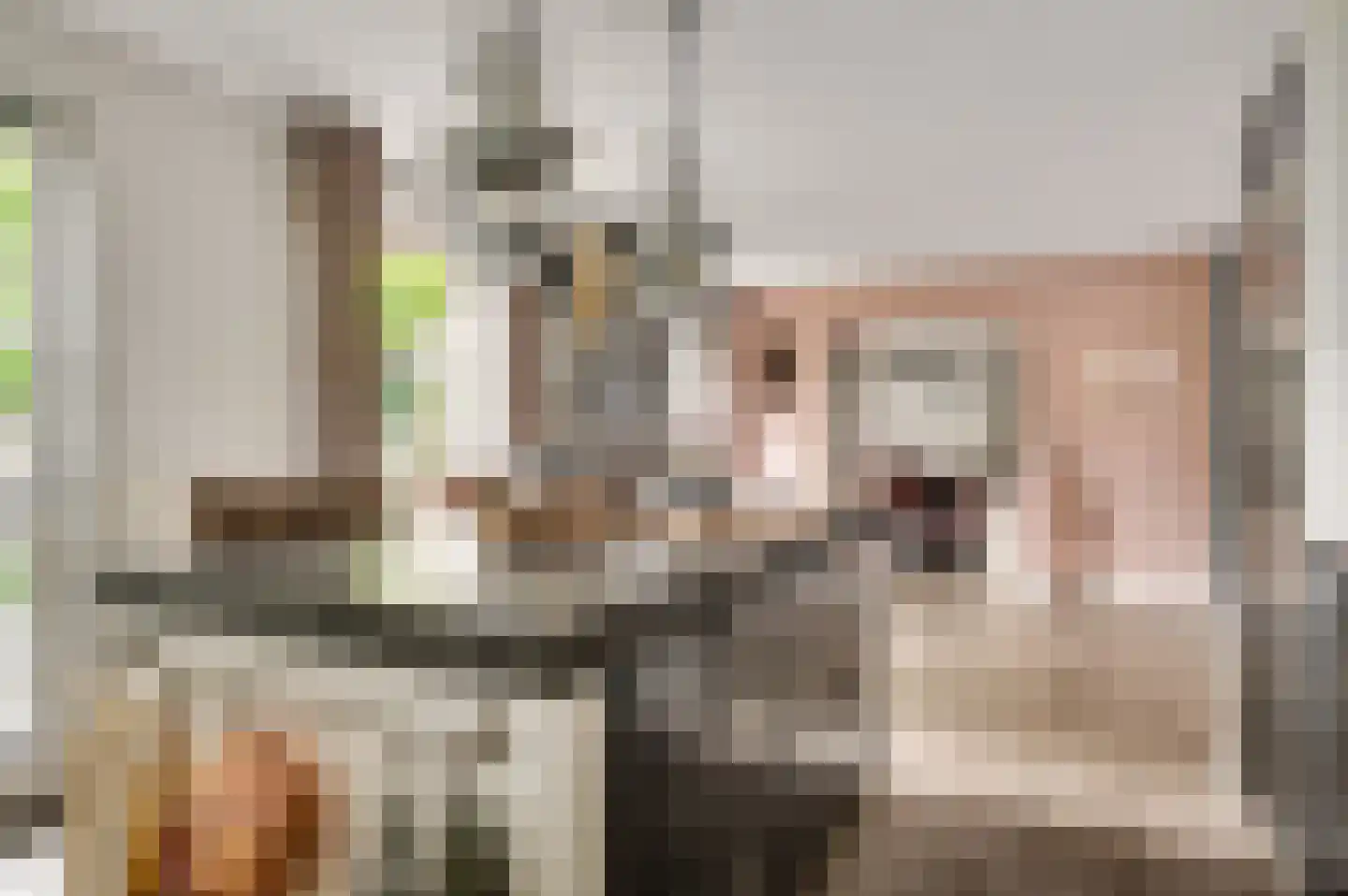 Wilhelminastraat 8 Stramproy thumbnail 24