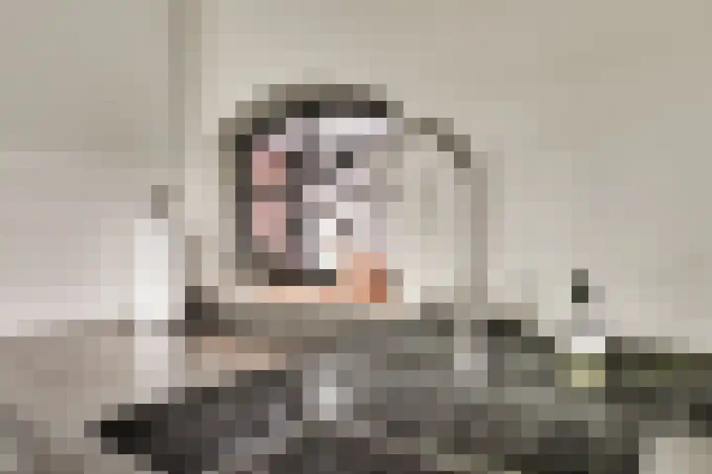 Wilhelminastraat 8 Stramproy thumbnail 25