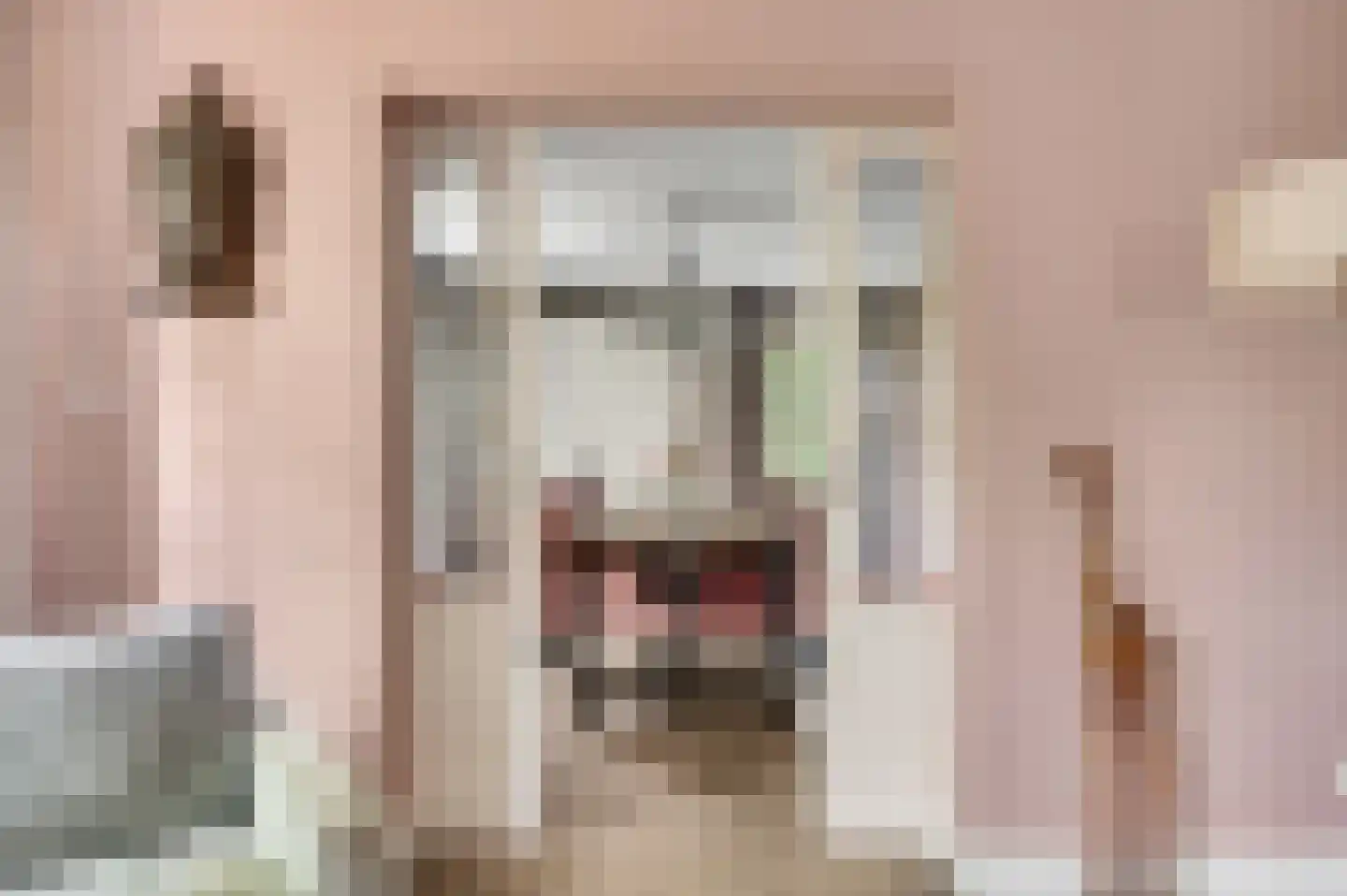 Wilhelminastraat 8 Stramproy thumbnail 26