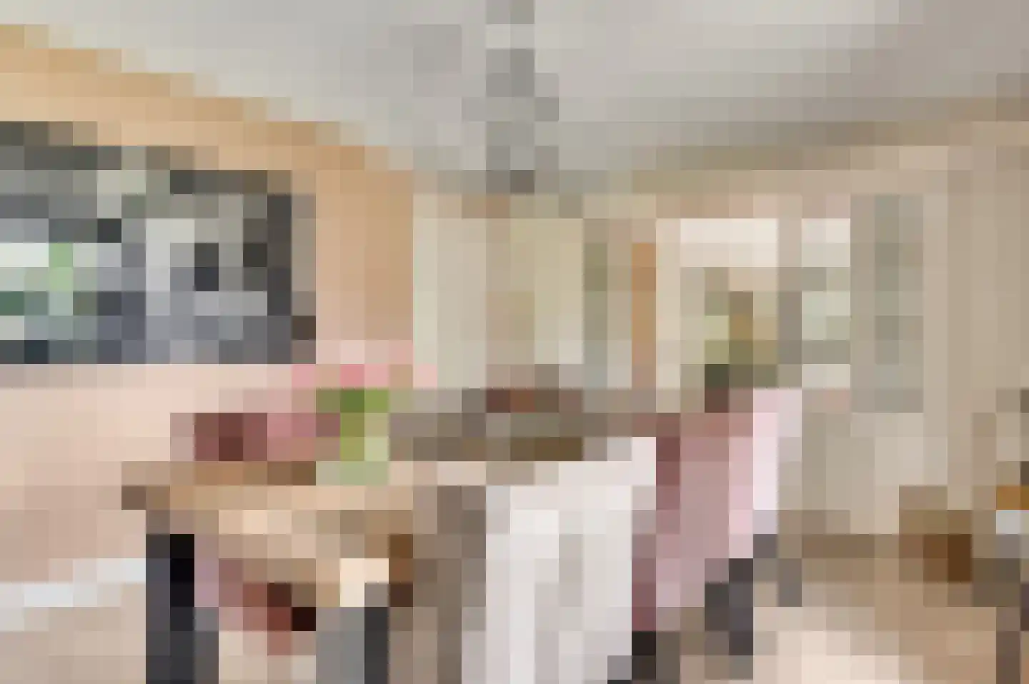 Wilhelminastraat 8 Stramproy thumbnail 28
