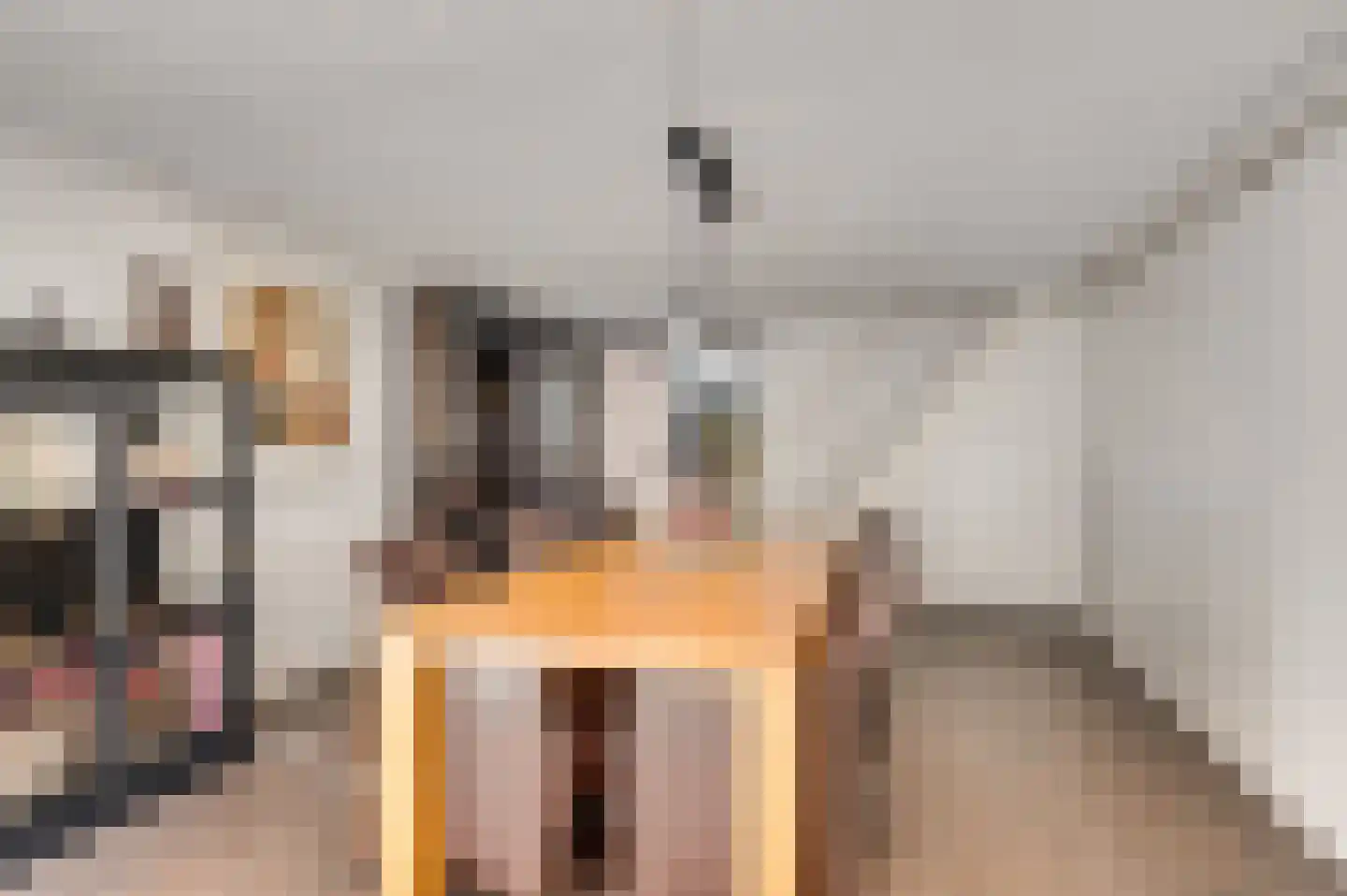 Wilhelminastraat 8 Stramproy thumbnail 32