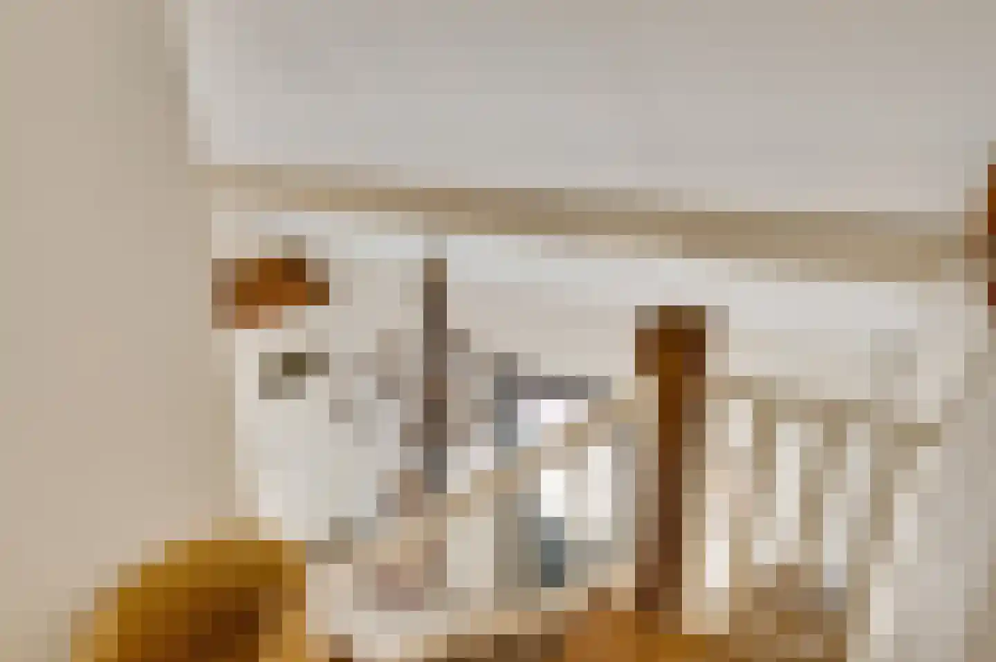 Wilhelminastraat 8 Stramproy thumbnail 33