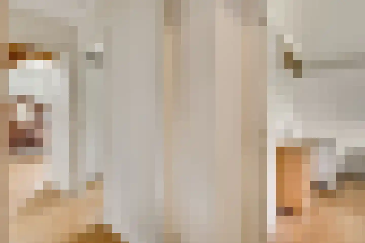 Wilhelminastraat 8 Stramproy thumbnail 34