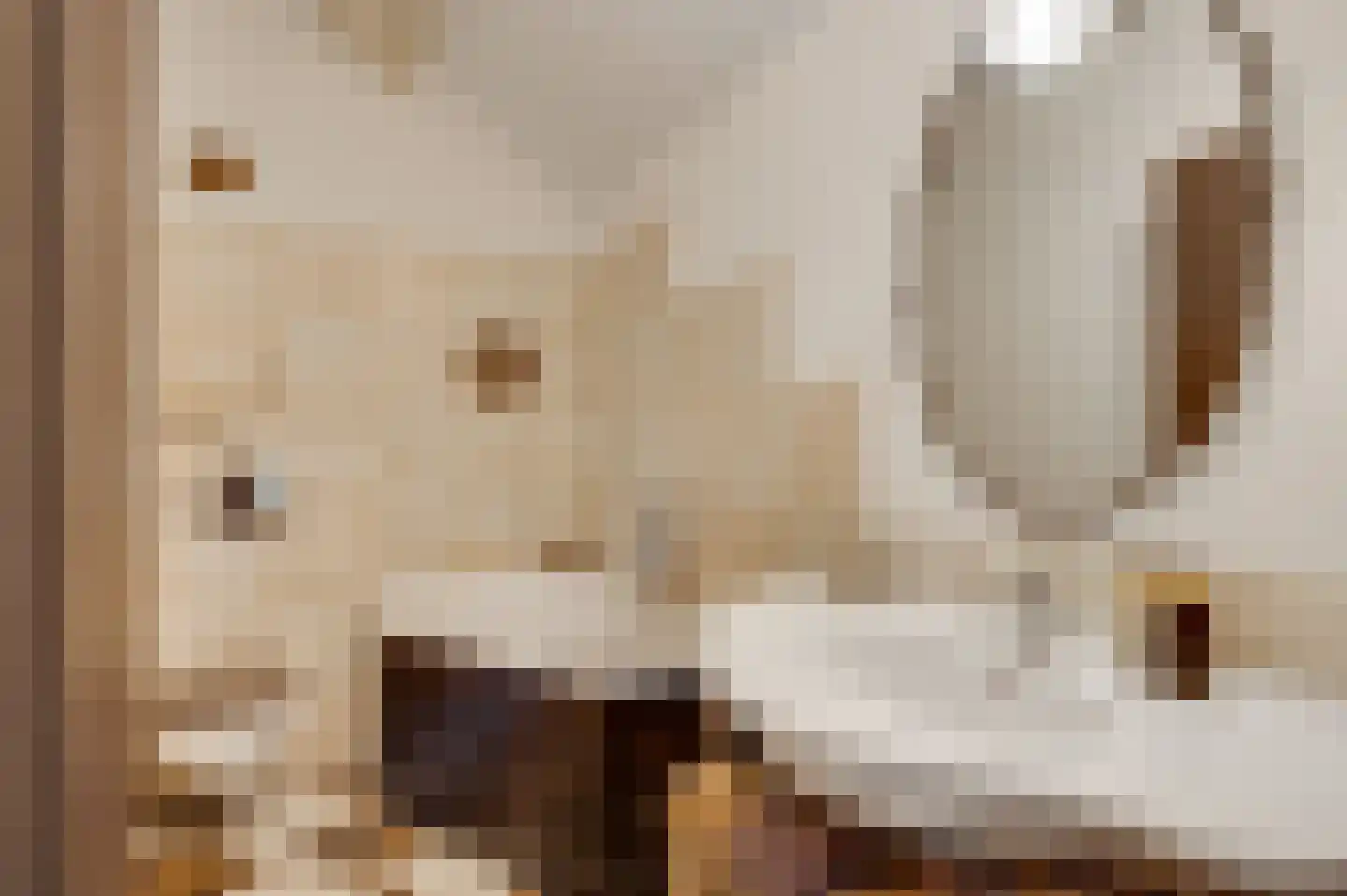 Wilhelminastraat 8 Stramproy thumbnail 35