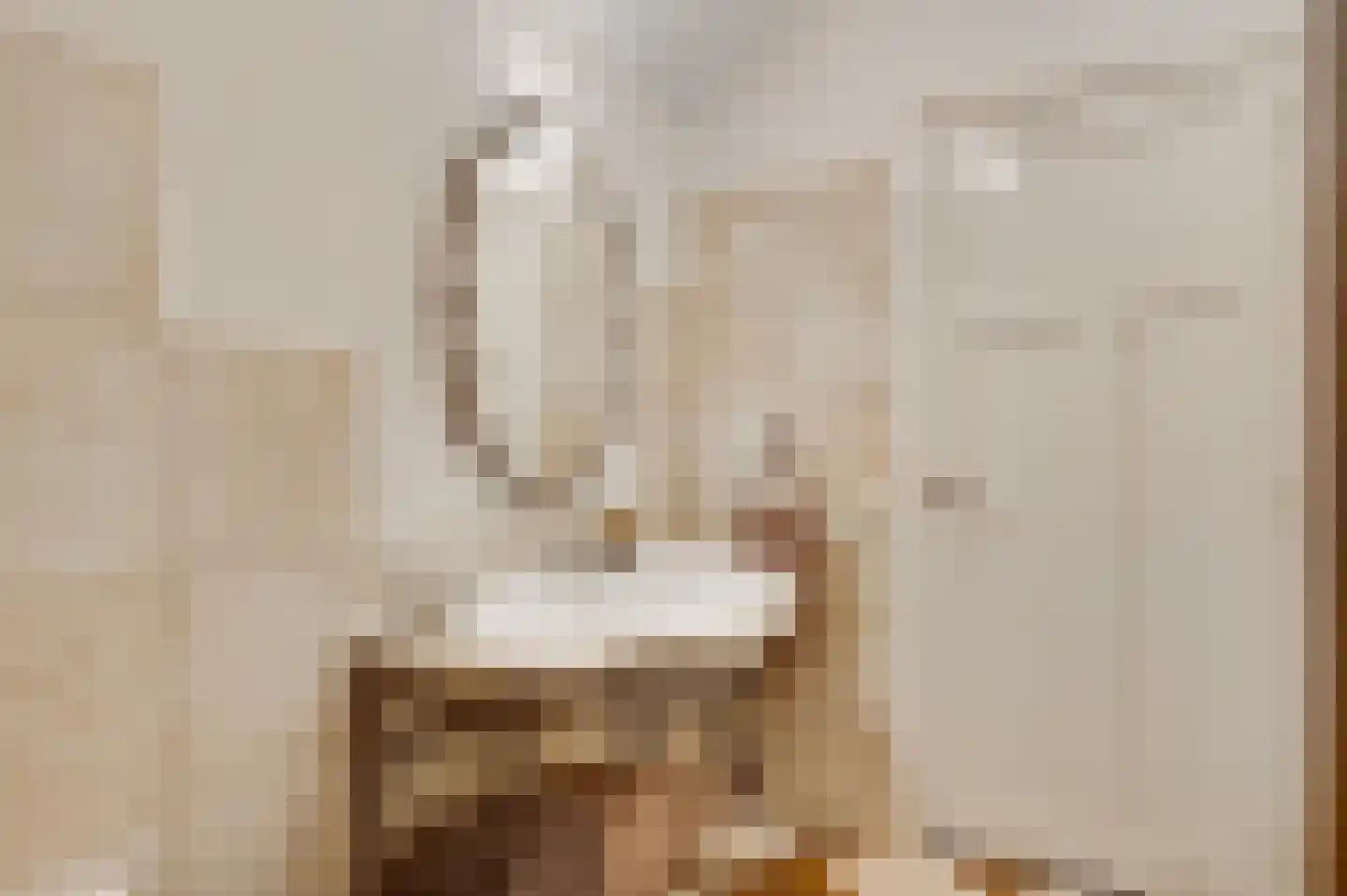 Wilhelminastraat 8 Stramproy thumbnail 36