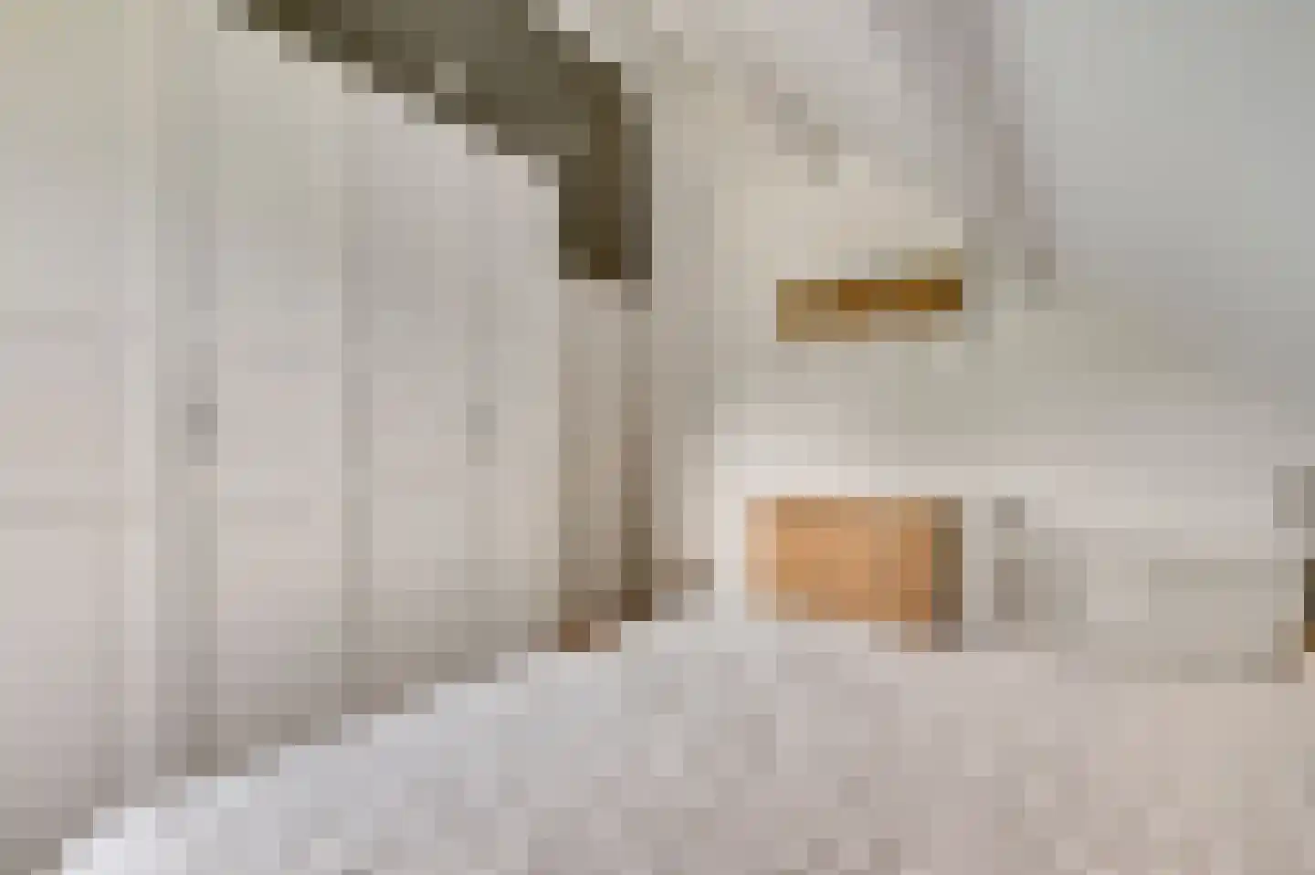 Wilhelminastraat 8 Stramproy thumbnail 38