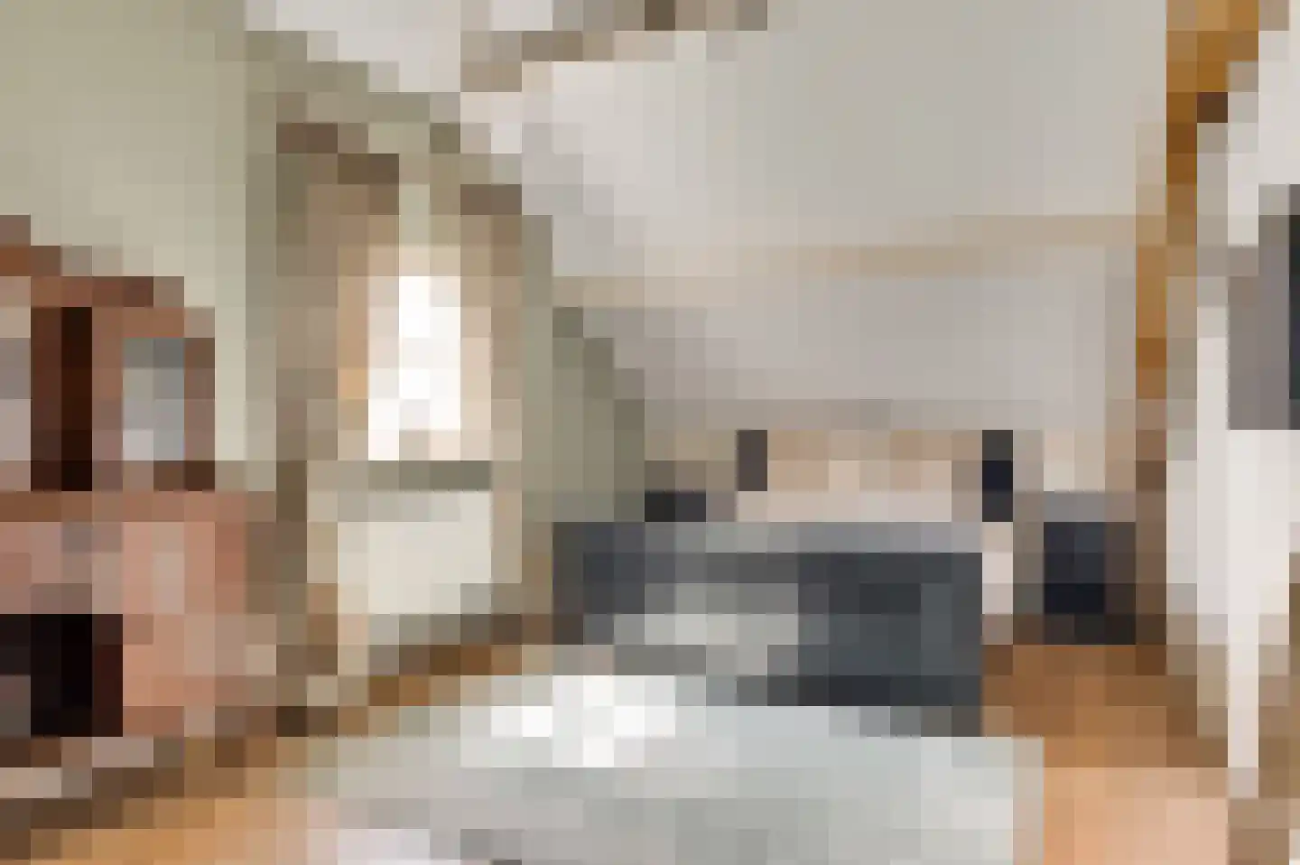Wilhelminastraat 8 Stramproy thumbnail 41
