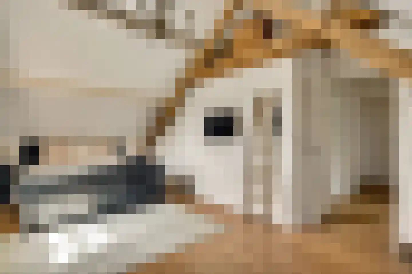 Wilhelminastraat 8 Stramproy thumbnail 42