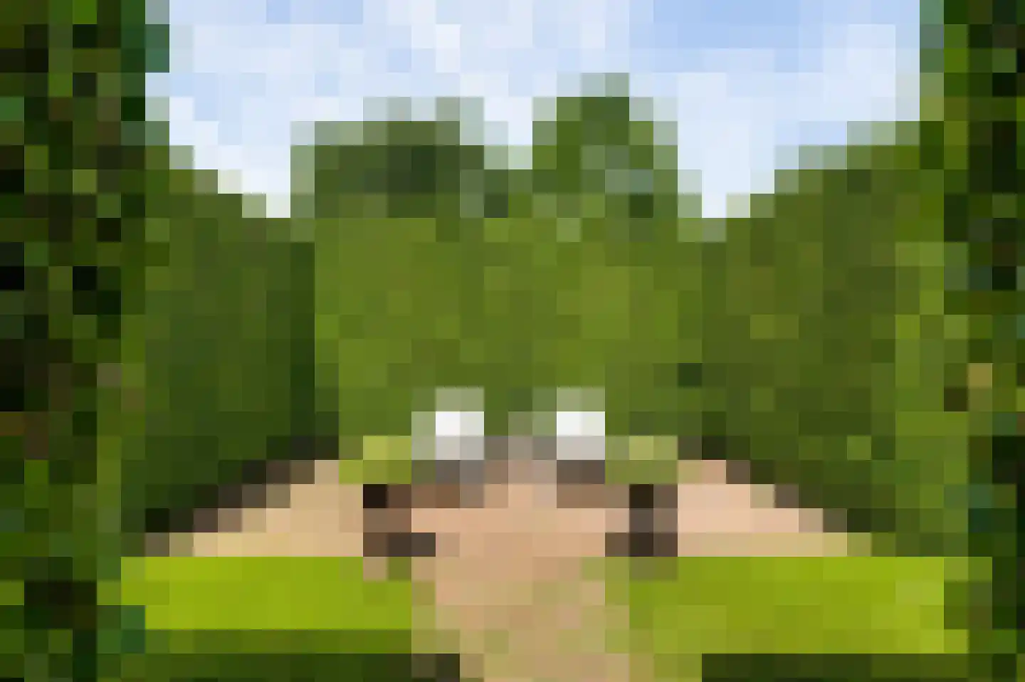 Wilhelminastraat 8 Stramproy thumbnail 44