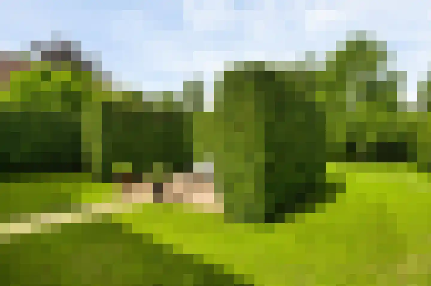 Wilhelminastraat 8 Stramproy thumbnail 45