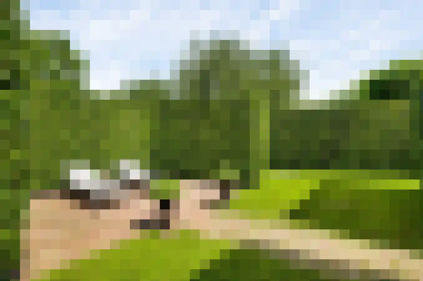 Wilhelminastraat 8 Stramproy thumbnail 46