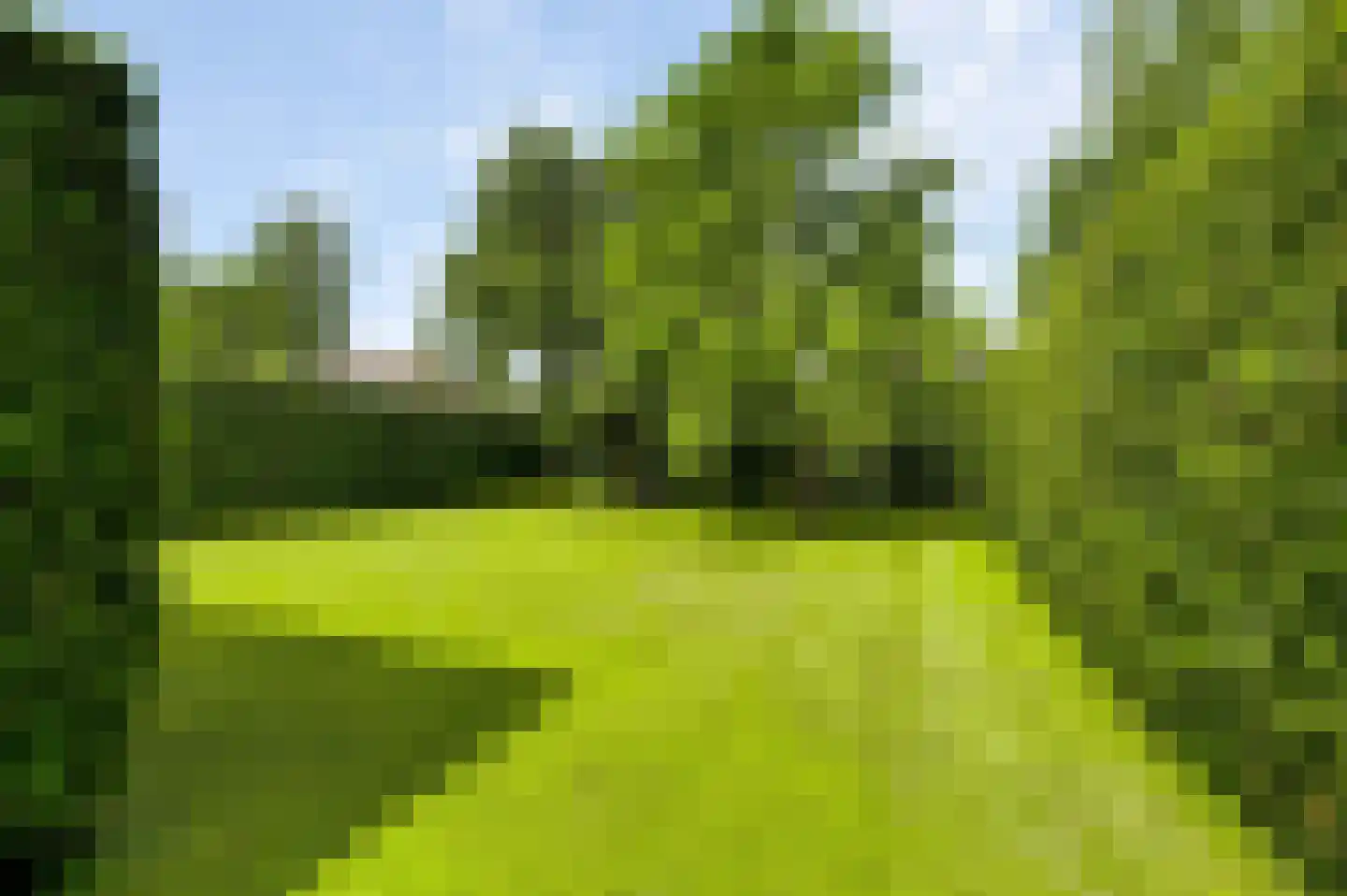 Wilhelminastraat 8 Stramproy thumbnail 47