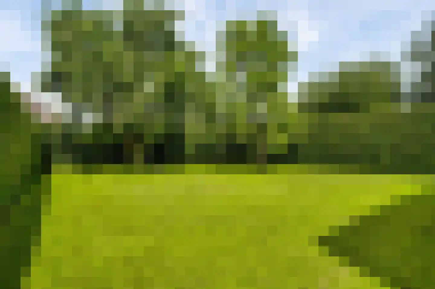 Wilhelminastraat 8 Stramproy thumbnail 48