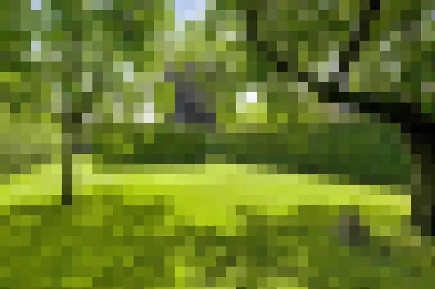 Wilhelminastraat 8 Stramproy thumbnail 49