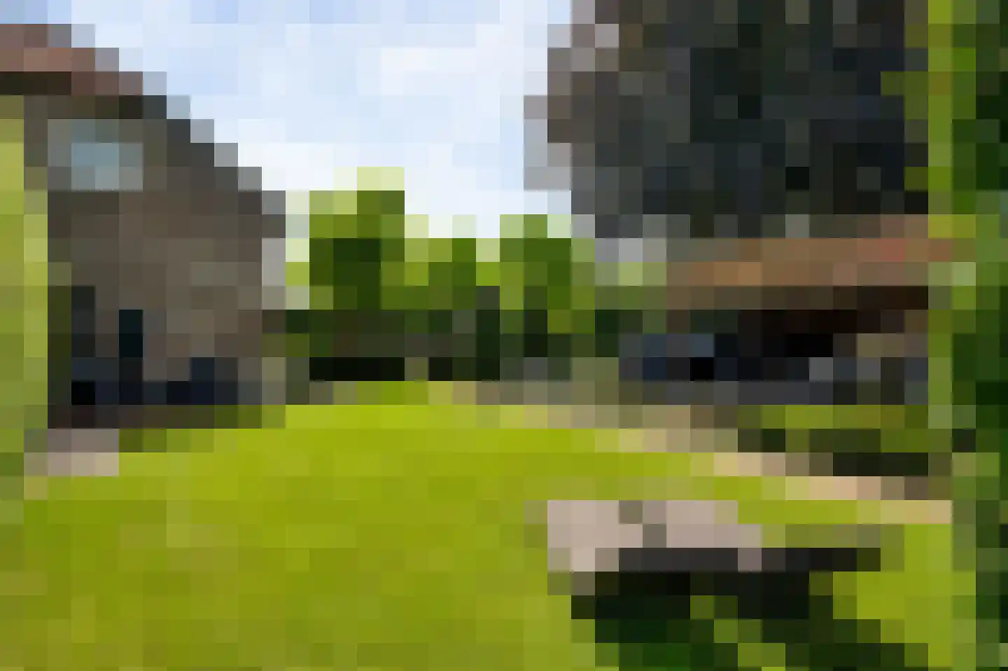 Wilhelminastraat 8 Stramproy thumbnail 5